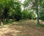 Villa Saffi parco