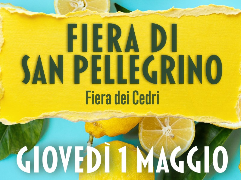 Fiera di San Pellegrino - Festa dei Cedri  in Piazza Morgagni