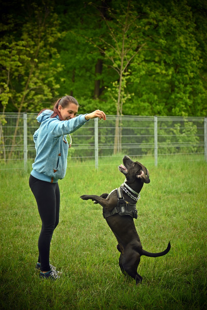 Aree sgambatura cani