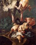 Giovanni Crivelli, detto il Crivellino (Attivo nella prima metà del secolo XVIII), Natura morta con pollame, Olio su tela, Museo Civico di San Domenico, Collezione Pedriali