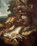 Giovanni Crivelli, detto il Crivellino (Attivo nella prima metà del secolo XVIII), Natura morta con pesci, Olio su tela, Museo Civico di San Domenico, Collezione Pedriali