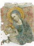 Maestro di Tossino, affine ad Andrea da Bologna, 1360 circa, Madonna dell Umiltà