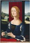 Lorenzo di Credi, Firenze, circa 1460 - 1537, Ritratto di giovane donna o Dama dei gelsomini; 1485 - 1490